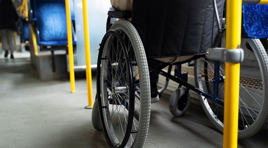 Criteri e modalita' per l'accesso e la fruizione del servizio di trasporto di persone con dsiabilita' 